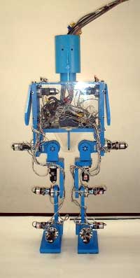 MARI-1